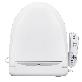 detail image2 Remote Control Bidet Q-5100