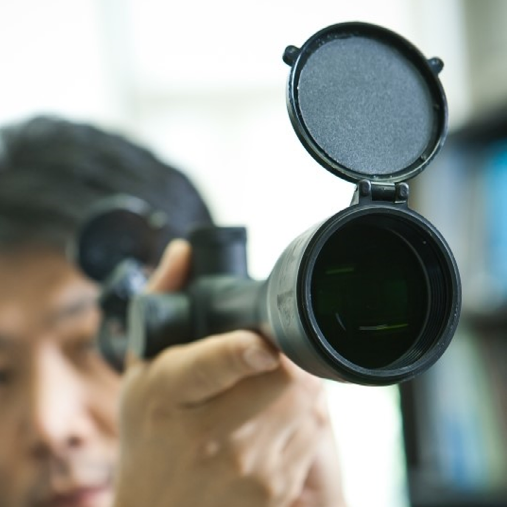 TDB M9-High Magnification