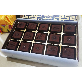 detail image3 Red Ginseng Chocolate
