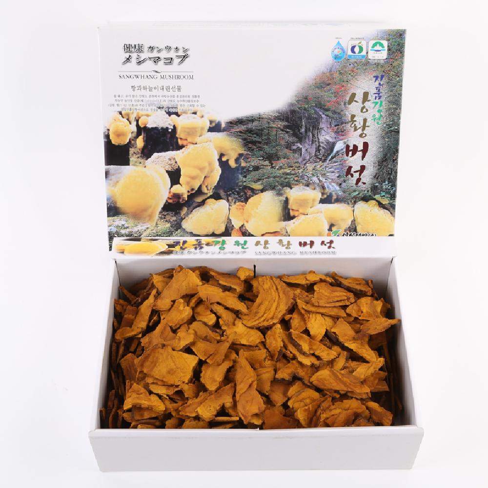 Sangwhang Mushroom