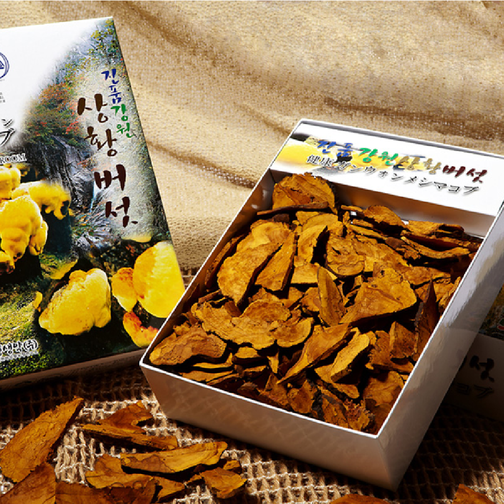 Sangwhang Mushroom