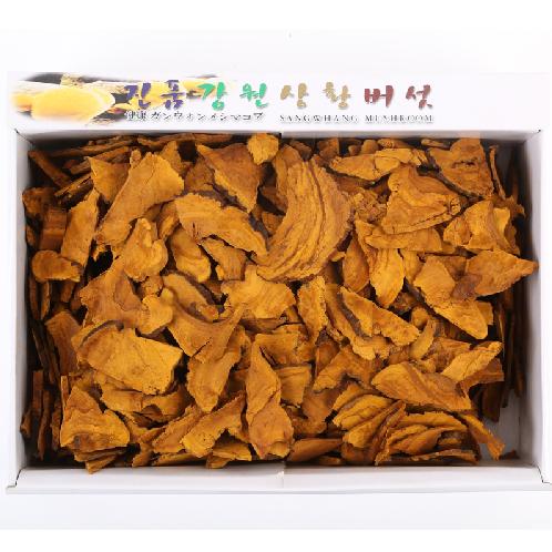 Sangwhang Mushroom