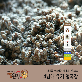 full image 4namme cheonggukjang