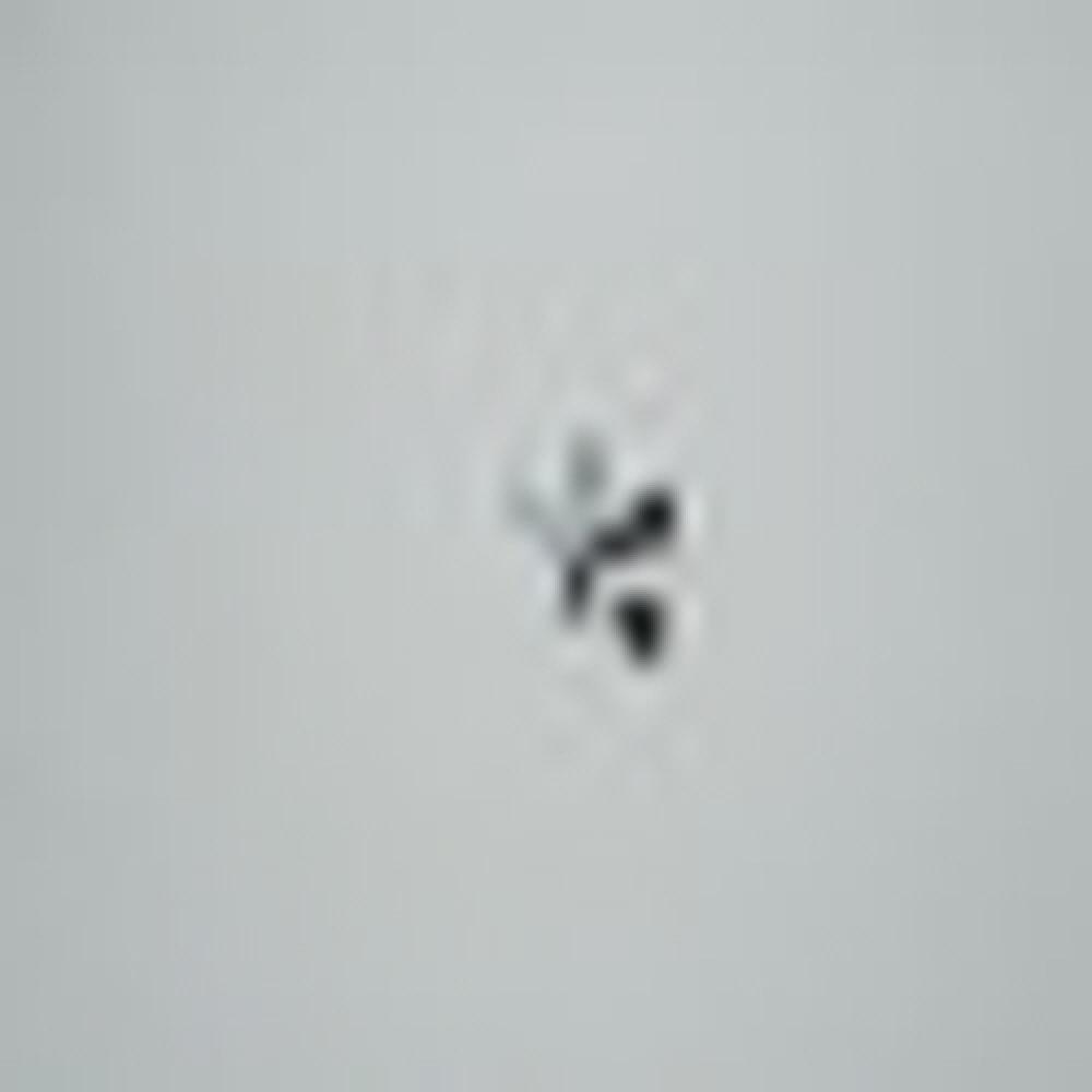 OEM Automotive home appliance customizing speical stainless steel screw