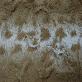 detail image1 JSF-0027 ( Artificial Fur )