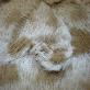 detail image2 JSF-0027 ( Artificial Fur )