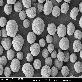 detail image1 Magnesium Powder