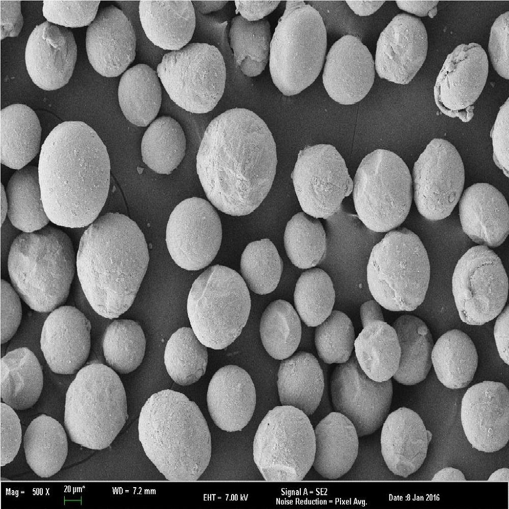 Magnesium Powder