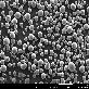 detail image1 3D Printing Metal Powder