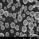 detail image2 3D Printing Metal Powder