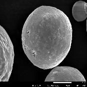 3D Printing Metal Powder