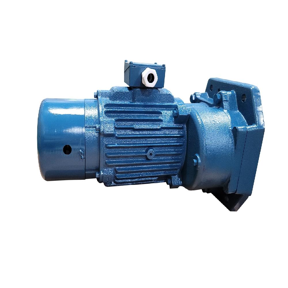 Hoist Motor
