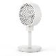 full image Honeycomb net desk fan - 6 inch