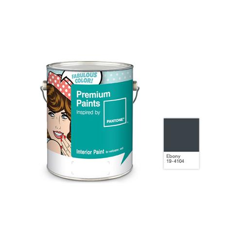 Paint - ebony