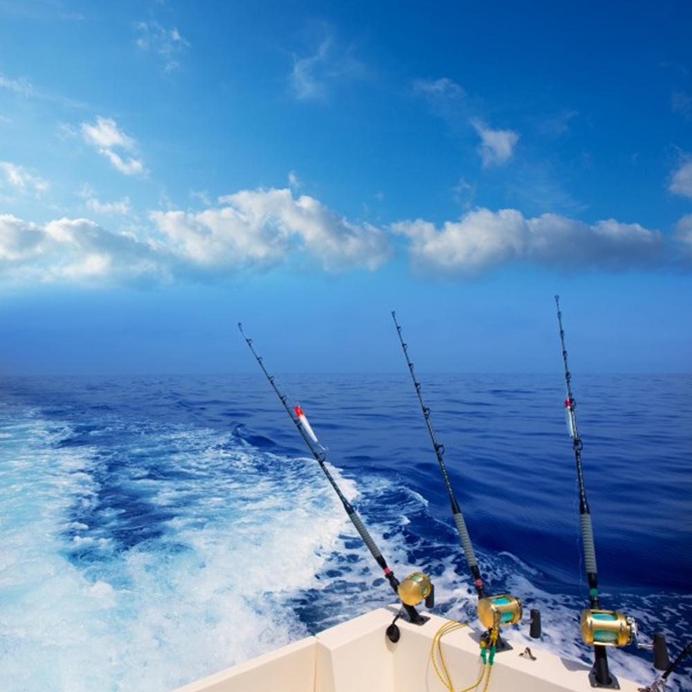 Fishing Hooks_Worm Hooks