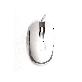 detail image1 Tetra Fingerprint Authentication Mouse