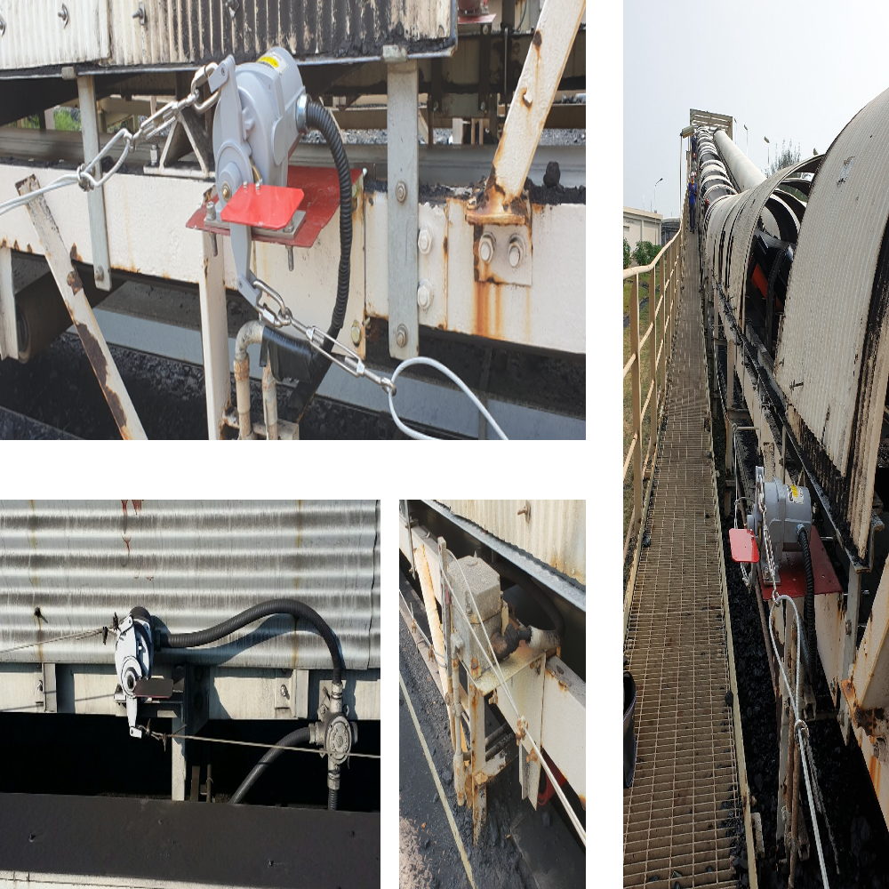 Pull cord Switch