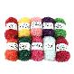 full image Sachiko Brush Rainbow 10 Ball Set