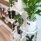 detail image5 [Bandi] 6 tier plant stand shelf
