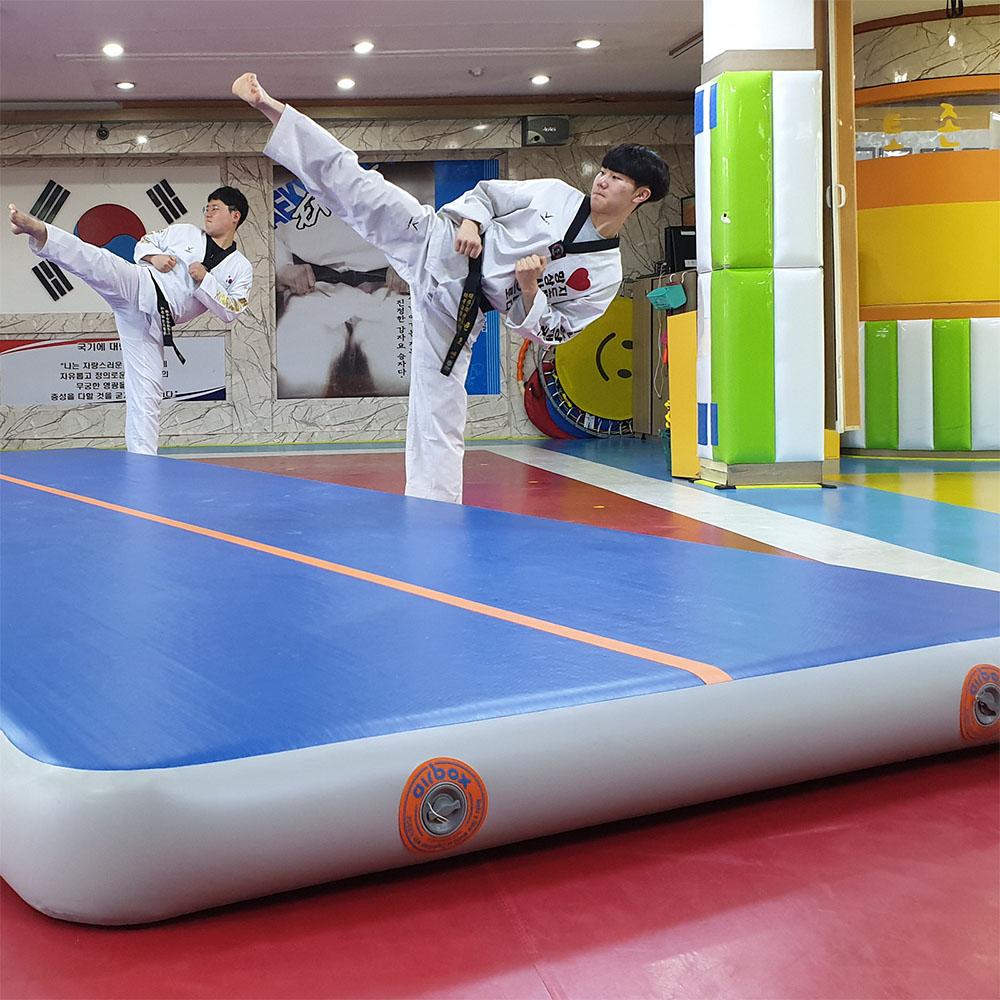 Air Gym Track