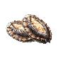 full image Live Abalone from Wando, Korea