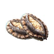 Live Abalone from Wando, Korea