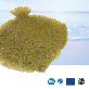 detail image1 Live Golden Turbot  from Jeju, Korea