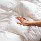 detail image5 zero o'clock goose down Comforter (signature model)