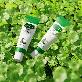 detail image4 I elf you Jeju Cica Cream