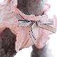 detail image3 Tint Frill blouses (Pink / M size)