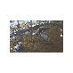 detail image1 Cutting edge AI Standingheat detection system