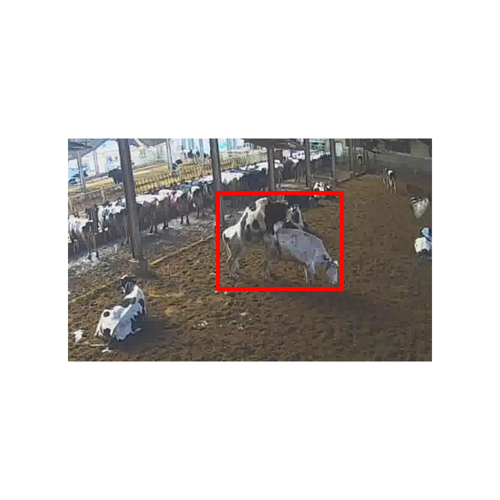 Cutting edge AI Standingheat detection system