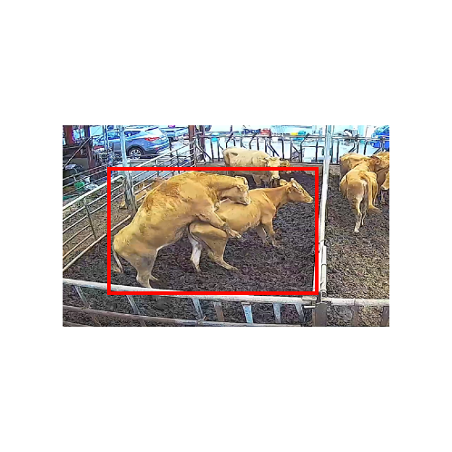 Cutting edge AI Standingheat detection system