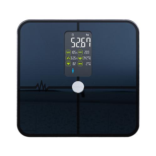 Wellness Tracker BASIC