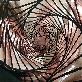 detail image4 DAE HA Soft Plus