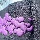 detail image1 DAE HA Puff PU