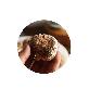 detail image1 Whole mushrooms for flavor soup oak wood cultivation organic shiitake mushrooms