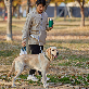 detail image3 COMEON DOG Safety Clip Multi Dog Leash
