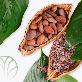 detail image1 jeju seokchangpo  cacao nibs