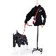 full image INTERLAKEN G230 LEASH