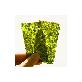 detail image4 Insan bamboo salt seaweed 12EA