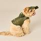 detail image2 COCOGIO Cork Dog Hat_khaki