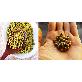detail image2 Korean organic cabbage pills 120g*5