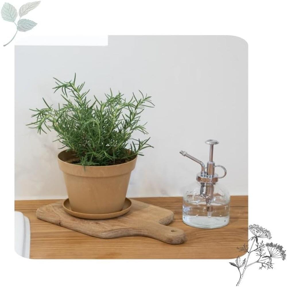 Freefactory Flower Plant Pot with Drainage Holes and Saucer Tray(Medium/Moss Green)