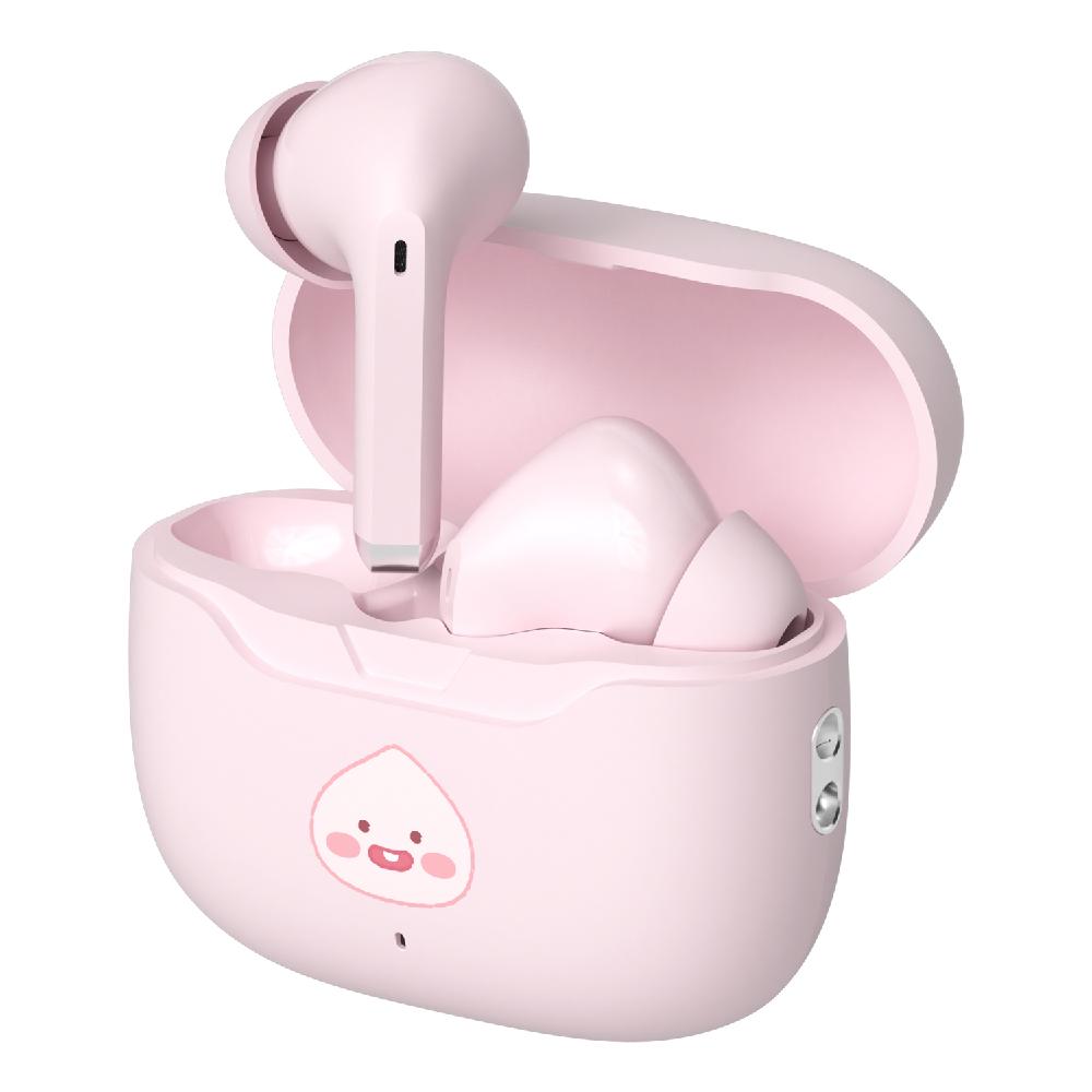 Kakao Friends Official Bluetooth Wireless Earbuds ENC Noise Cancelling Cute Design Earphones TWS
