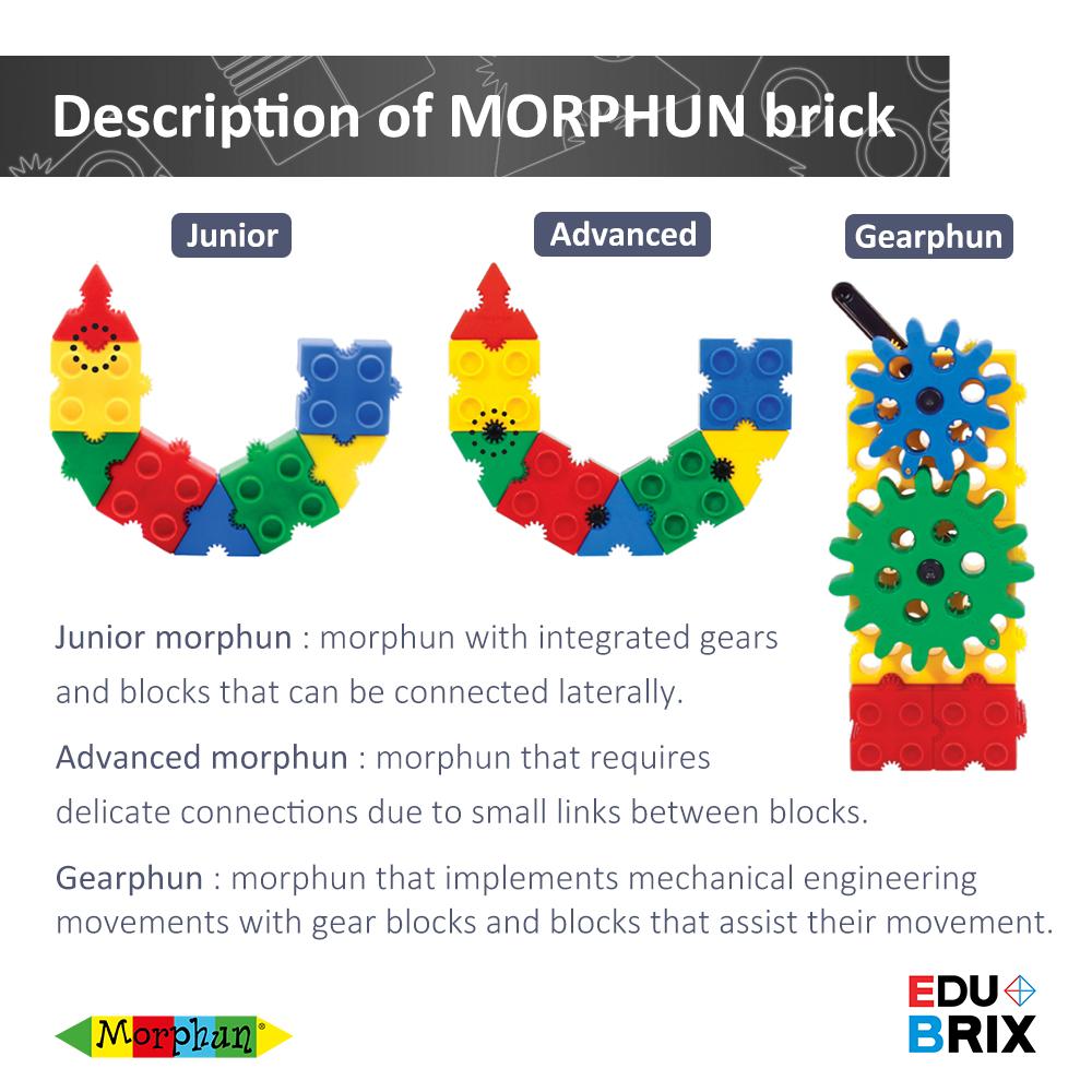 Morphun Junior Variety 600